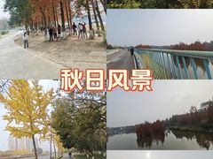 -白鹭湾湿地公园