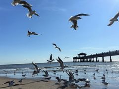 -北戴河碧螺塔海上酒吧公园