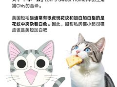 -翊宠yipet猫狗购宠庄园犬舍•猫舍