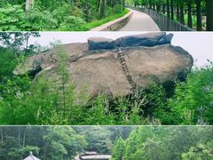 -白水寺森林公园