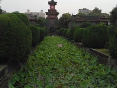 -四川大学(华西校区)