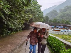 -牛背梁国家森林公园