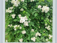 -大蜀山国家森林公园