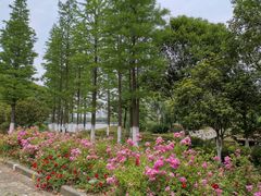 -江南大学(蠡湖校区)