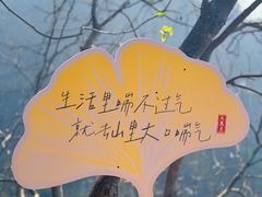 -大慈岩风景区