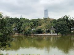 -四海公园(南山区)