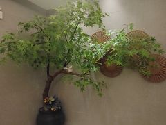 -东吴水韵(吴中店)