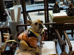 -鲤院·新中式美学·庭院餐厅(夫子庙店)