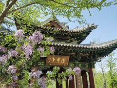 -晋祠公园