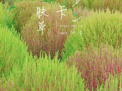 -映月湖中央公园