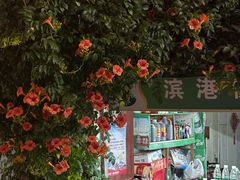 -半升洞码头