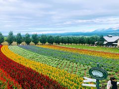 -富田农场