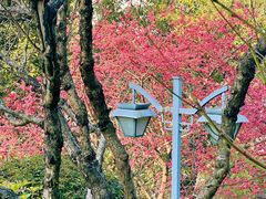 -乌山风景区