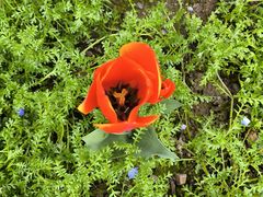 -浙江大学(玉泉校区)