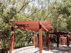 -大兴滨河森林公园