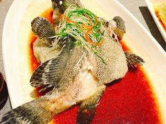 清蒸沙巴龙胆斑-凯逸轩·匠心粤菜(中城名仕汇店)
