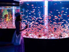 -海合安成都极地海洋公园
