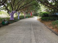 -光明农场大观园