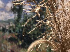 -看见远方·莫干遥远的山民宿