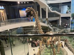 -辽宁古生物博物馆