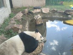 -沈阳森林动物园
