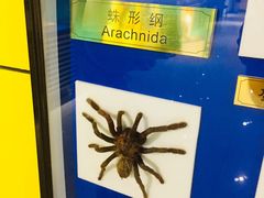 -上海昆虫博物馆