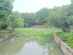 -滴水岩森林公园