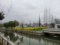 -安亭老街