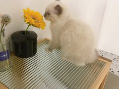 -FULL MOON满月咖啡