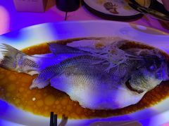 -胡桃里音乐酒馆(四道口店)