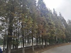 -梁鸿国家湿地公园