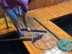 -蓝湾碧波·老字号·疍家非遗海上餐厅
