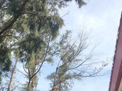 -玫瑰海岸文化旅游度假区