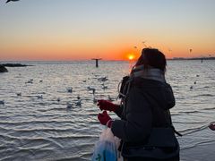 -老虎石海上公园