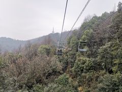 -茶颜悦色(岳麓山顶店)