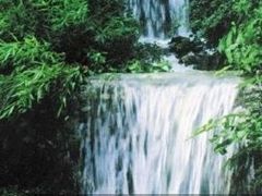 -金鸡湖高尔夫会员专属俱乐部