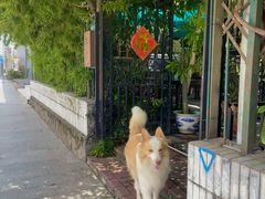 -豆舞咖啡(民乐路店)