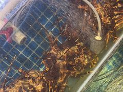 -77号渔船·蒸海鲜青岛菜(积米崖店)