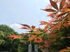 -金牛山大酒店(南北湖风景区店)