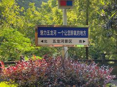 -郧西五龙河风景区