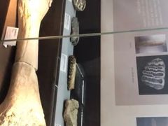 -泗洪县文化艺术中心