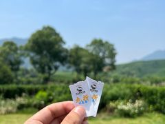 -龙坞茶村