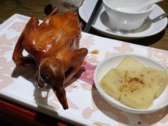 红烧乳鸽-大鸽饭(岗顶店)