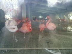 -石家庄市动物园