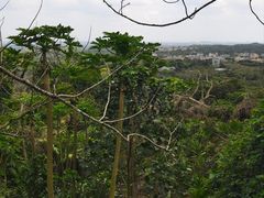 -海口火山口国家地质公园