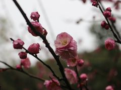 -盘门景区