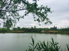 -白鹭湾湿地公园