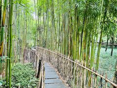 -成都杜甫草堂博物馆