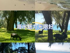 -三亚西岛海洋文化旅游区
