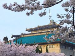 -武汉大学-樱园